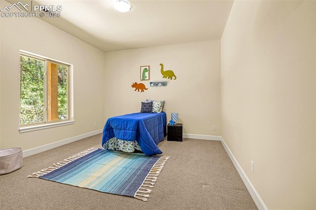 4775 Neeper Valley Rd, Manitou Springs, CO 80829 - carpeted bedroom with baseboards