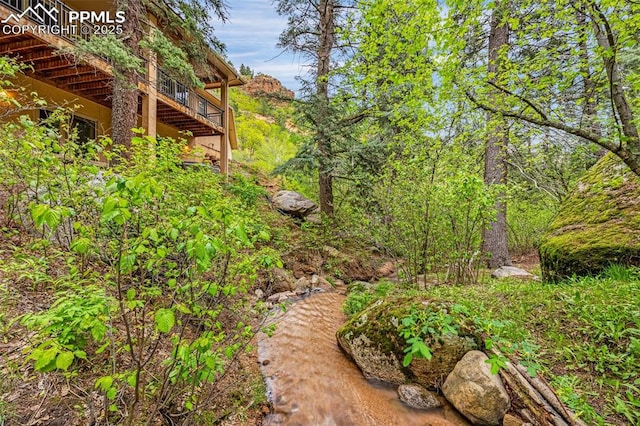 4775 Neeper Valley Rd, Manitou Springs, CO 80829 - view of yard