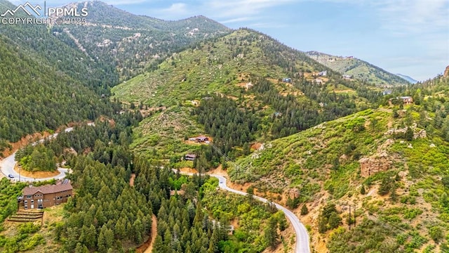 4775 Neeper Valley Rd, Manitou Springs, CO 80829 - view of mountain background featuring a heavily wooded area