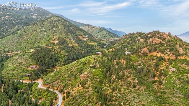 4775 Neeper Valley Rd, Manitou Springs, CO 80829 - mountain view featuring a forest
