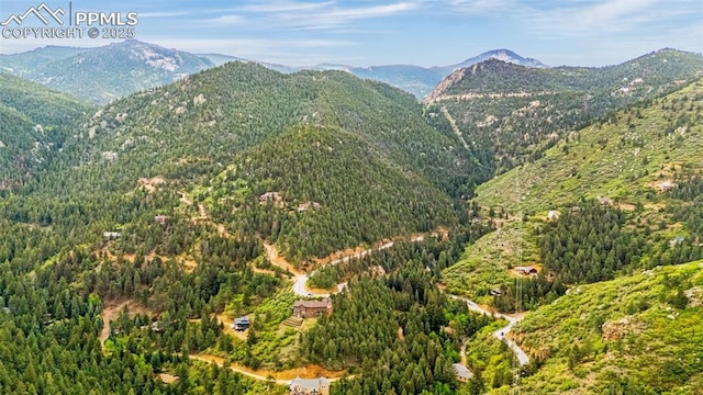 4775 Neeper Valley Rd, Manitou Springs, CO 80829 - view of mountain background with a forest