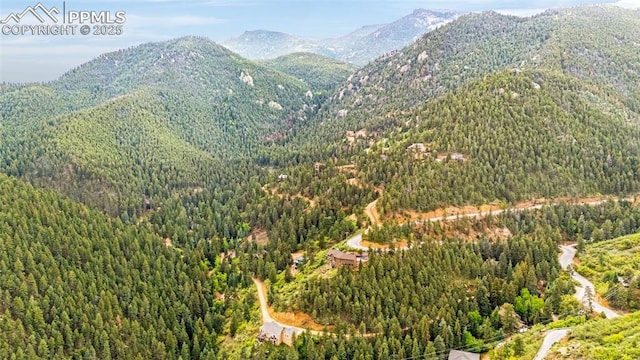 4775 Neeper Valley Rd, Manitou Springs, CO 80829 - mountain view featuring a forest
