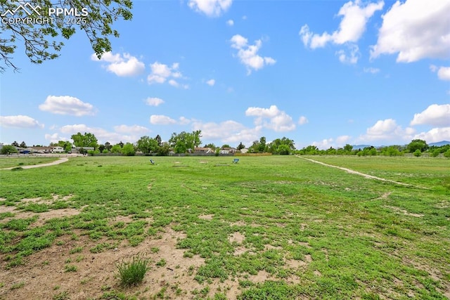 2280 Lisa Dr, Colorado Springs, CO 80915 - view of grassy yard featuring a rural view