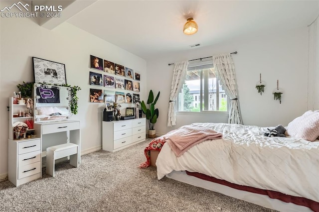 2513 Cinnabar Rd, Colorado Springs, CO 80921 - bedroom with light carpet and baseboards