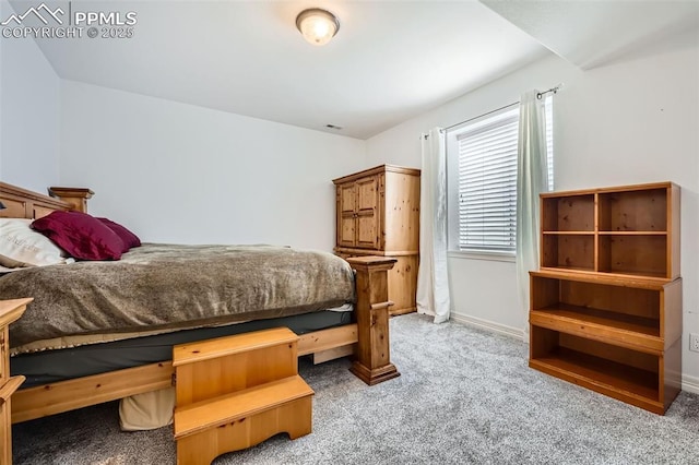 2513 Cinnabar Rd, Colorado Springs, CO 80921 - carpeted bedroom with baseboards