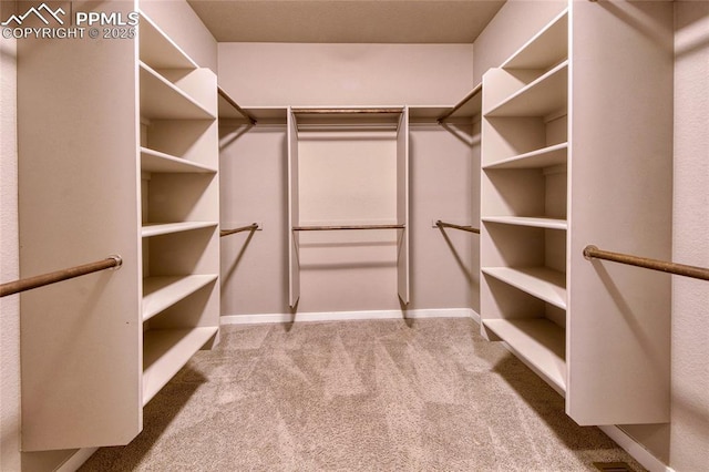 4228 Notch Trl, Colorado Springs, CO 80924 - walk in closet featuring carpet floors