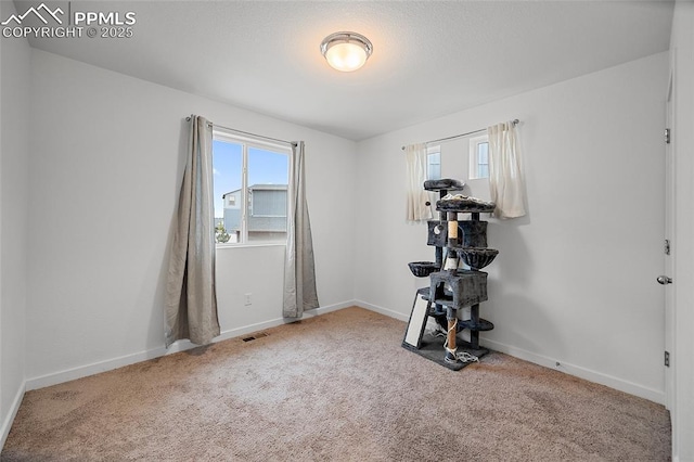 5840 Thurless Ln, Colorado Springs, CO 80927 - spare room featuring plenty of natural light, carpet flooring, and baseboards