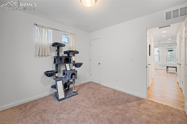 5840 Thurless Ln, Colorado Springs, CO 80927 - exercise area featuring light carpet and baseboards