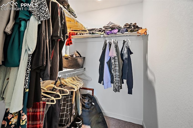5840 Thurless Ln, Colorado Springs, CO 80927 - spacious closet with carpet floors