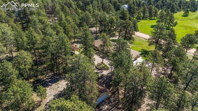 14820 Spiritwood Loop, Elbert, CO 80106 - bird's eye view
