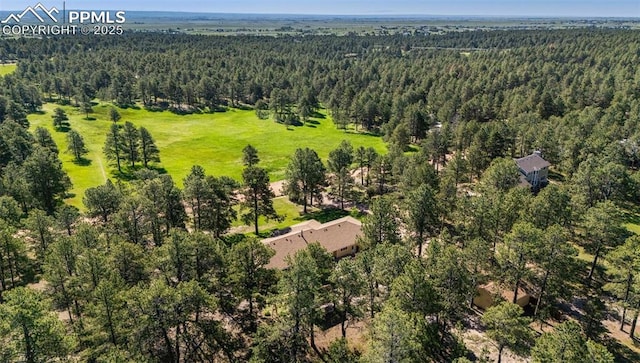 14820 Spiritwood Loop, Elbert, CO 80106 - bird's eye view of a forest