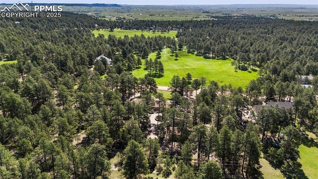 14820 Spiritwood Loop, Elbert, CO 80106 - aerial view of a forest