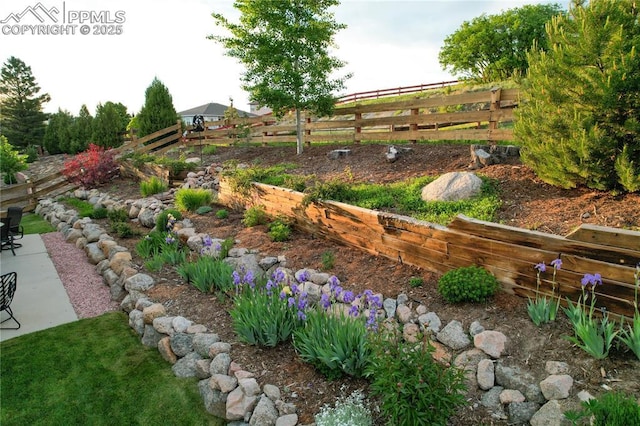 12265 Jones Park Ct, Colorado Springs, CO 80921 - view of yard