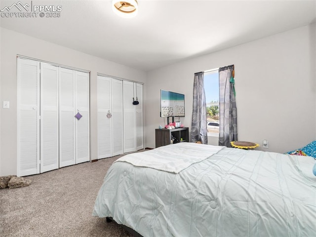 1159 N Linda Ln, Pueblo West, CO 81007 - bedroom with two closets and carpet floors