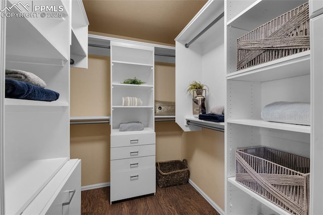 8795 Canary Cir, Colorado Springs, CO 80908 - walk in closet with dark wood-style flooring