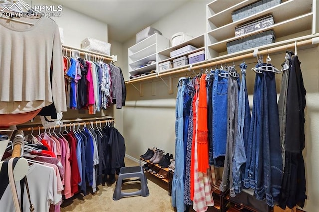 15506 Short Line Ct, Monument, CO 80132 - walk in closet featuring carpet flooring