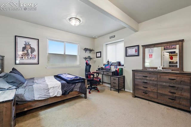15506 Short Line Ct, Monument, CO 80132 - view of carpeted bedroom