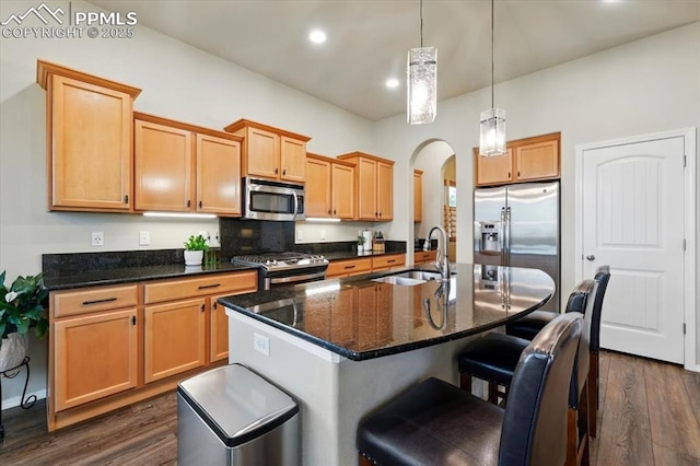 15506 Short Line Ct, Monument, CO 80132 - kitchen featuring a sink, stainless steel appliances, dark wood-type flooring, arched walkways, and a kitchen island with sink