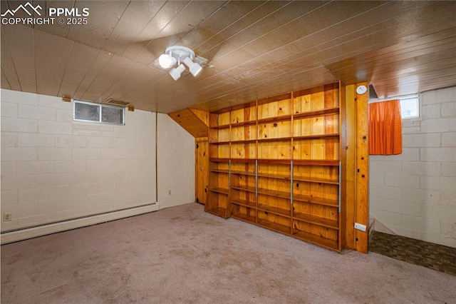 9940 N Calhan Hwy, Calhan, CO 80808 - basement featuring a baseboard radiator, carpet, and concrete block wall