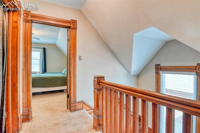 220 E 5th St, Florence, CO 81226 - hall with lofted ceiling and carpet floors