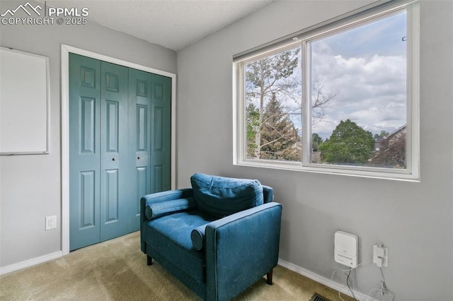 7942 French Rd, Colorado Springs, CO 80920 - living area with carpet and baseboards