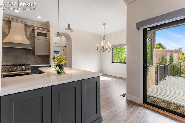 24 Redondo Ln, Pueblo, CO 81005 - kitchen featuring high end stove, premium range hood, gray cabinets, decorative backsplash, and light countertops