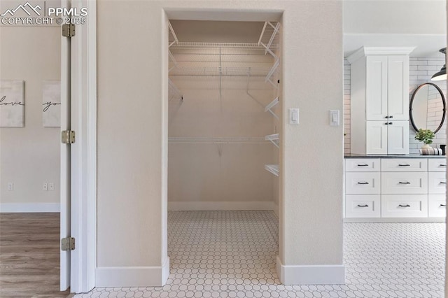 24 Redondo Ln, Pueblo, CO 81005 - bathroom featuring vanity, baseboards, and a walk in closet