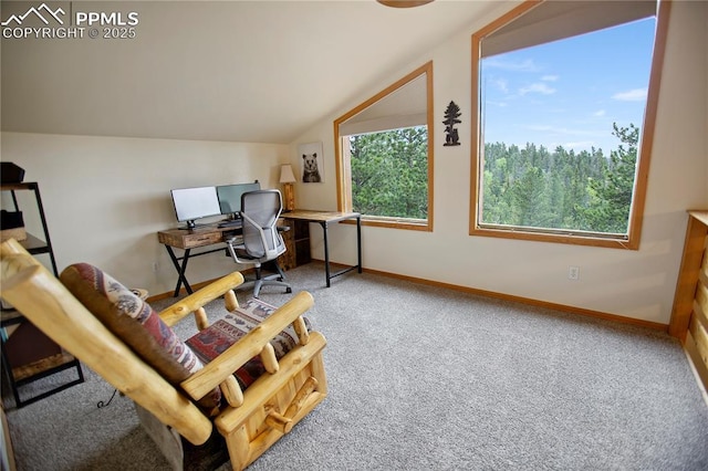 409 Pike View Dr, Divide, CO 80814 - carpeted office featuring baseboards and vaulted ceiling