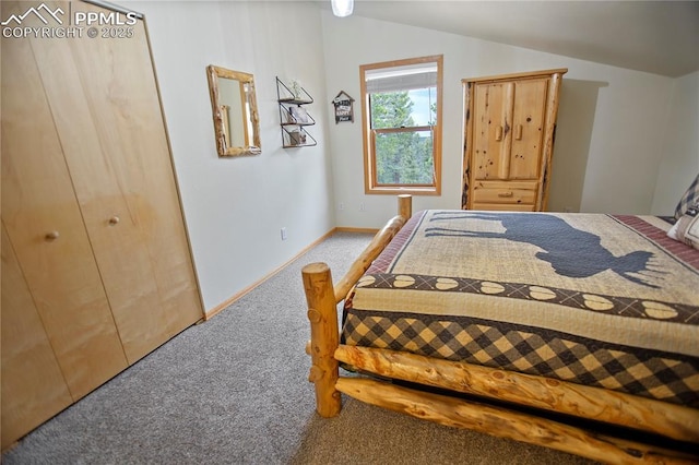 409 Pike View Dr, Divide, CO 80814 - carpeted bedroom featuring vaulted ceiling and baseboards
