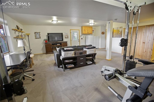 409 Pike View Dr, Divide, CO 80814 - living room featuring light carpet and an office area