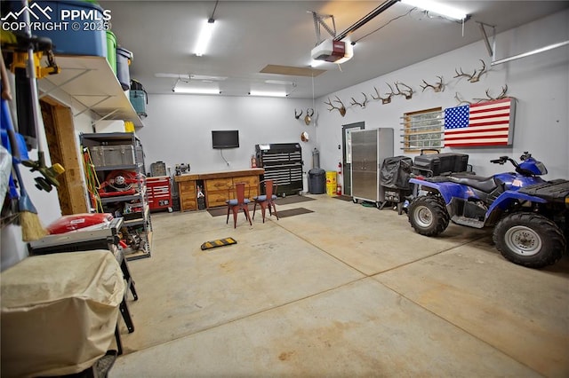 409 Pike View Dr, Divide, CO 80814 - garage featuring a garage door opener