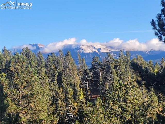 409 Pike View Dr, Divide, CO 80814 - mountain view featuring a heavily wooded area