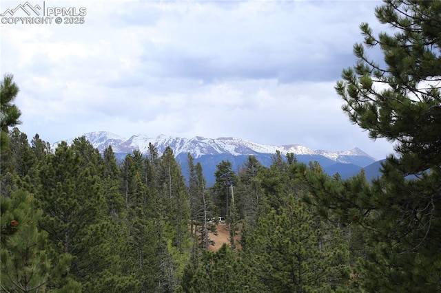 409 Pike View Dr, Divide, CO 80814 - mountain view featuring a heavily wooded area