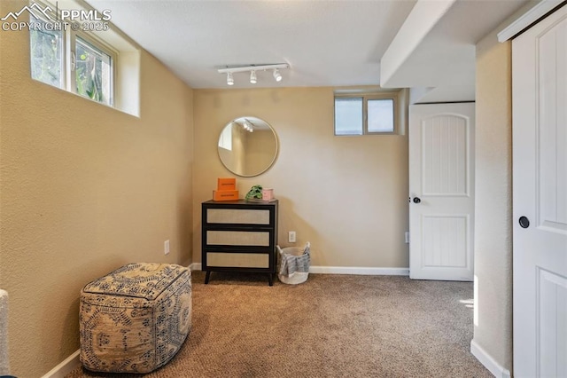 107 N Logan Ave, Colorado Springs, CO 80909 - below grade area featuring carpet flooring, healthy amount of natural light, track lighting, and baseboards