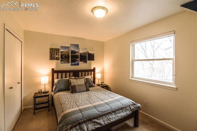 105 Pauma Valley Dr, Colorado Springs, CO 80921 - carpeted bedroom with baseboards and a closet