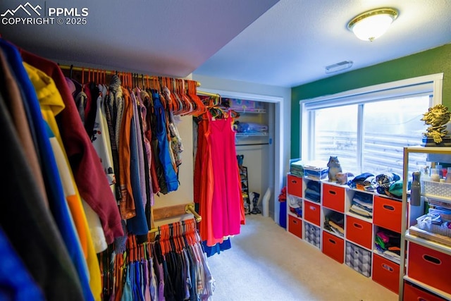 105 Pauma Valley Dr, Colorado Springs, CO 80921 - spacious closet featuring carpet floors