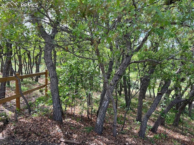 105 Pauma Valley Dr, Colorado Springs, CO 80921 - view of nature