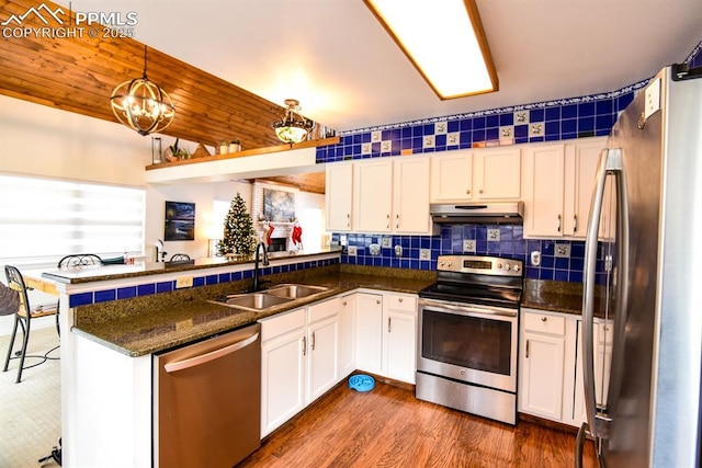 105 Pauma Valley Dr, Colorado Springs, CO 80921 - kitchen with appliances with stainless steel finishes, a sink, under cabinet range hood, white cabinetry, and a peninsula