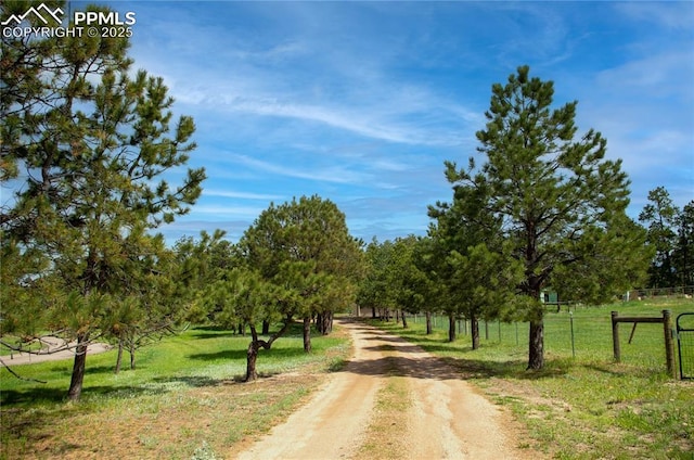16070 Buggywhip Dr, Elbert, CO 80106 - view of dirt / gravel road
