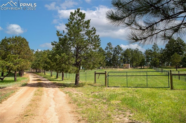 16070 Buggywhip Dr, Elbert, CO 80106 - view of dirt / gravel road featuring a rural view