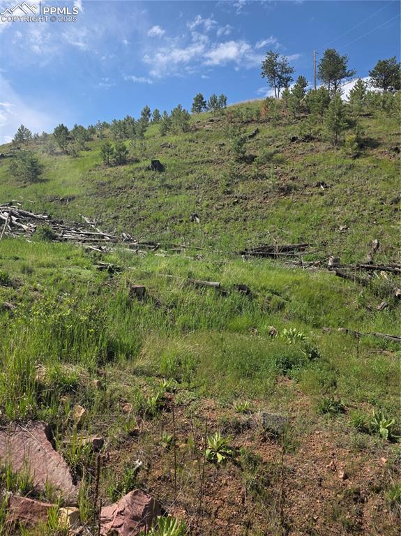 14874 Evergreen Pl, Woodland Park, CO 80863
