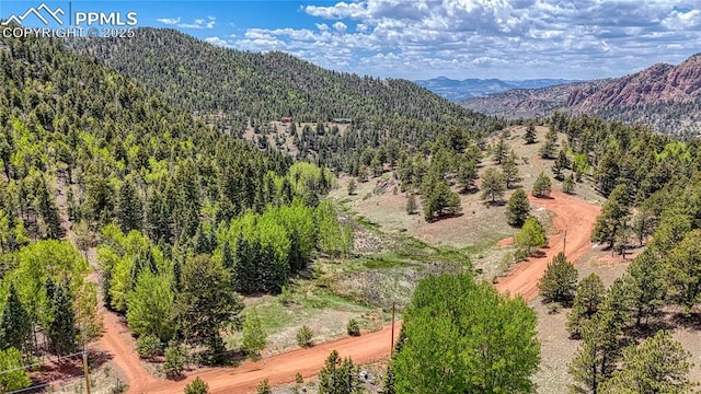 LOT60 Monarch Dr, Cripple Creek, CO 80813