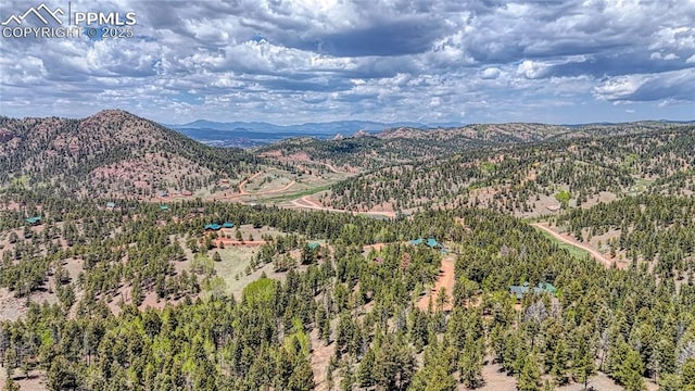 LOT60 Monarch Dr, Cripple Creek, CO 80813