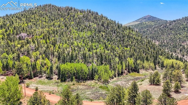 LOT60 Monarch Dr, Cripple Creek, CO 80813