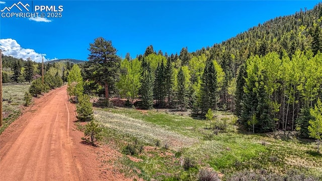 LOT60 Monarch Dr, Cripple Creek, CO 80813