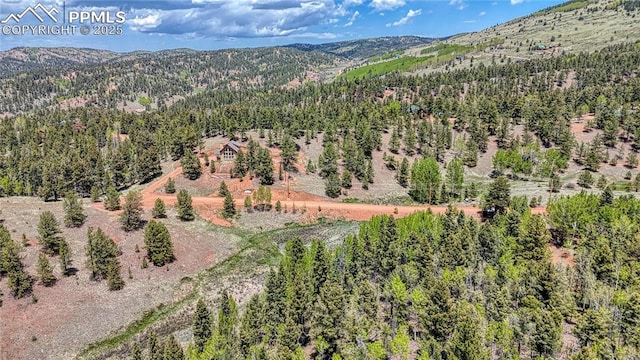LOT60 Monarch Dr, Cripple Creek, CO 80813