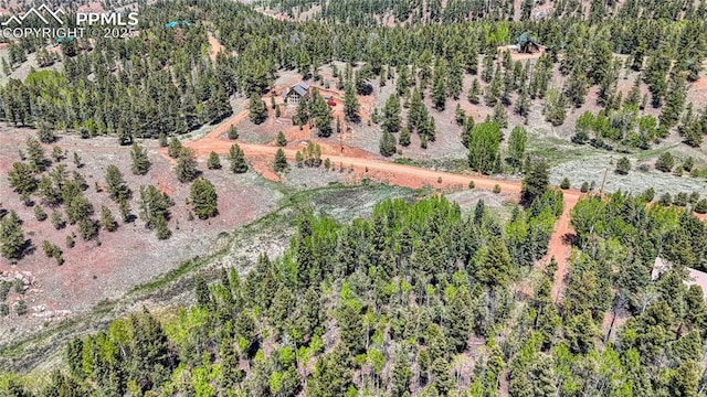 LOT60 Monarch Dr, Cripple Creek, CO 80813