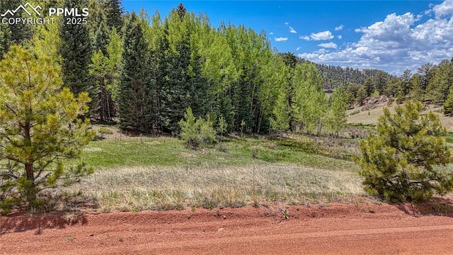 LOT60 Monarch Dr, Cripple Creek, CO 80813