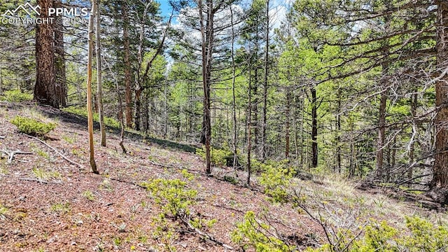LOT60 Monarch Dr, Cripple Creek, CO 80813