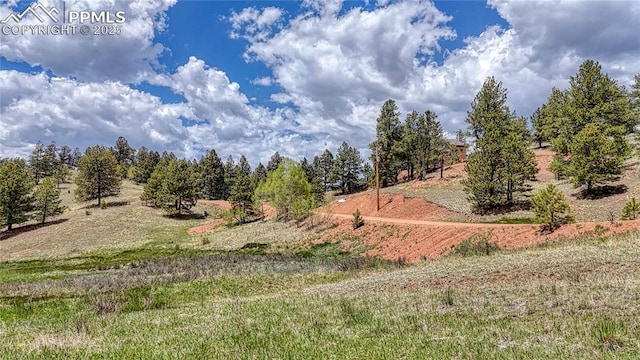 LOT60 Monarch Dr, Cripple Creek, CO 80813